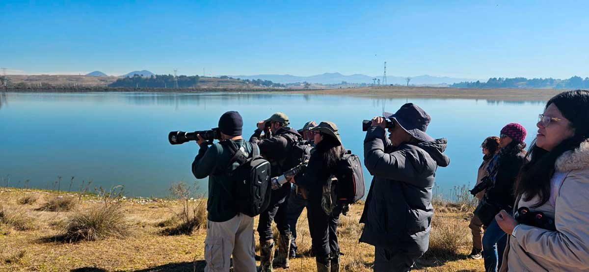 Toluca invita a jornada de avistamiento de aves.