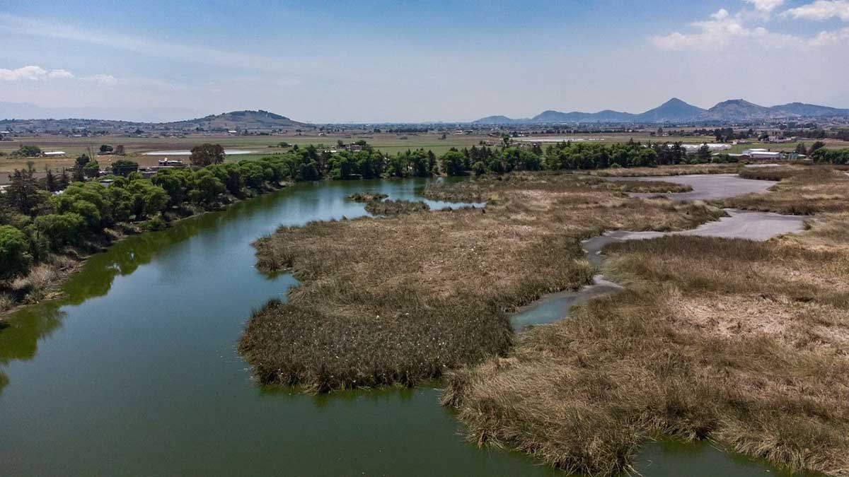 El Bordo “Las Maravillas”, humedal de la UAEMéx que protege la biodiversidad y fomenta la educación ambiental