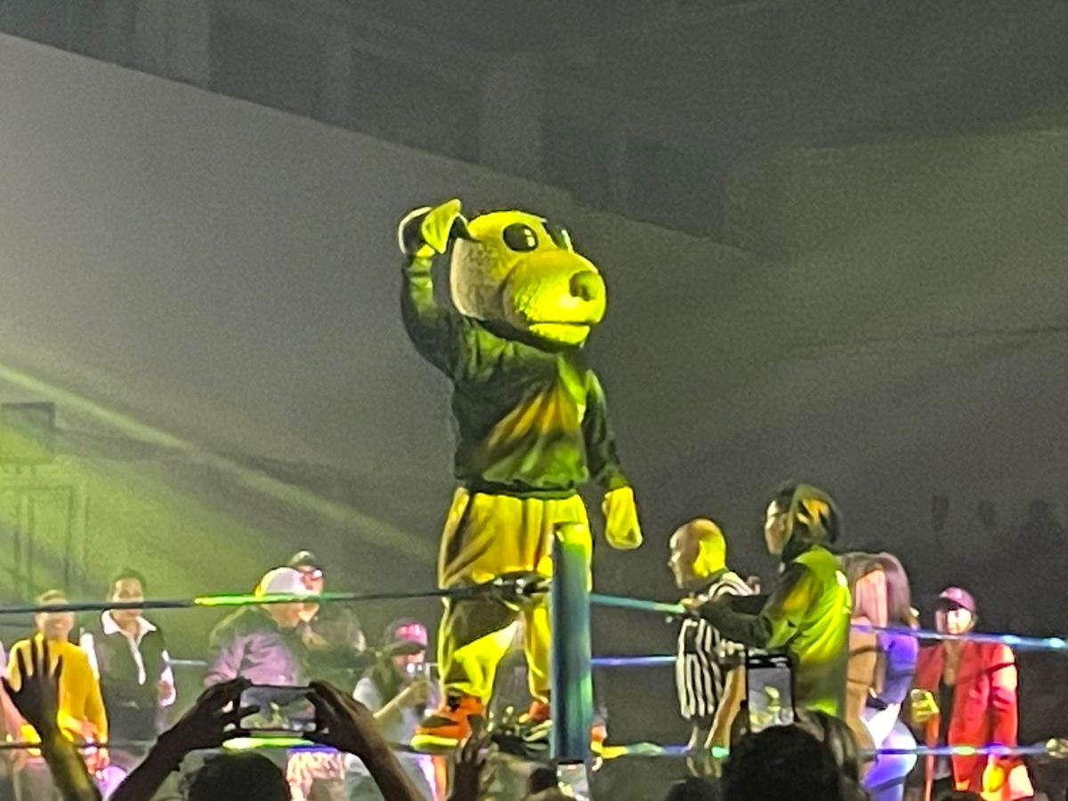 Función de Lucha Libre en el Deportivo Agustín Millán.