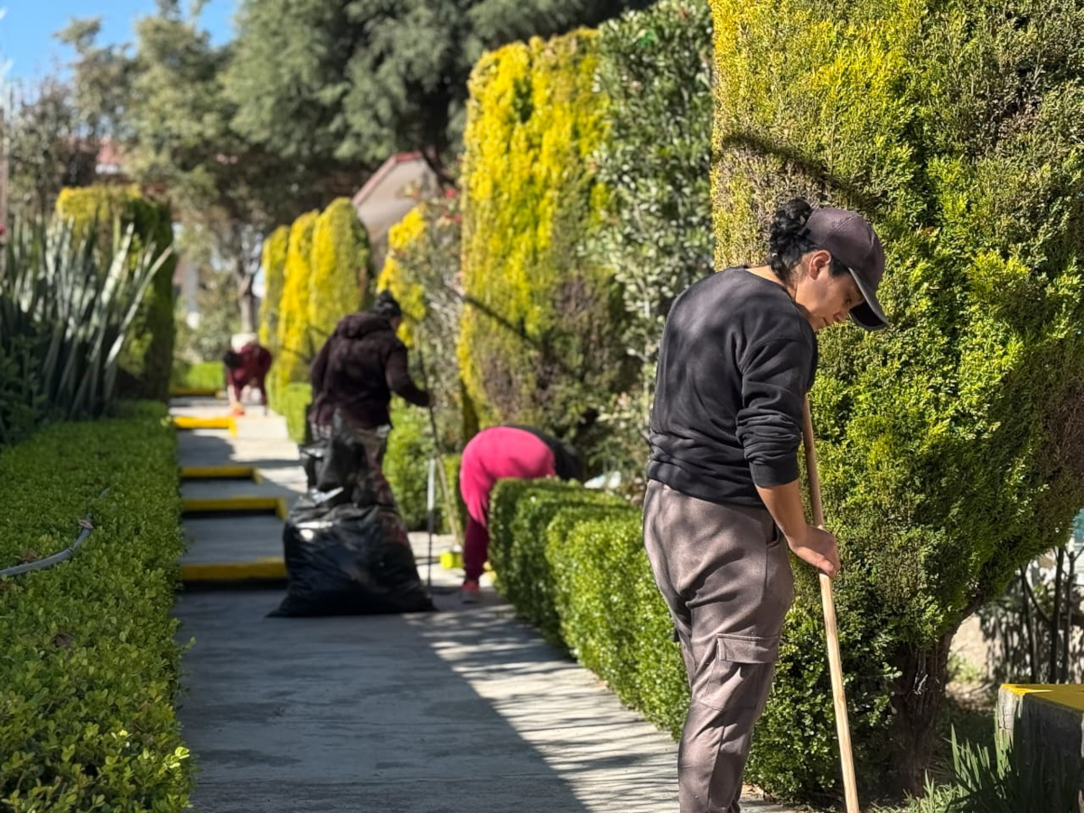 Toluca lanza la campaña de adopción de árboles más grande del país