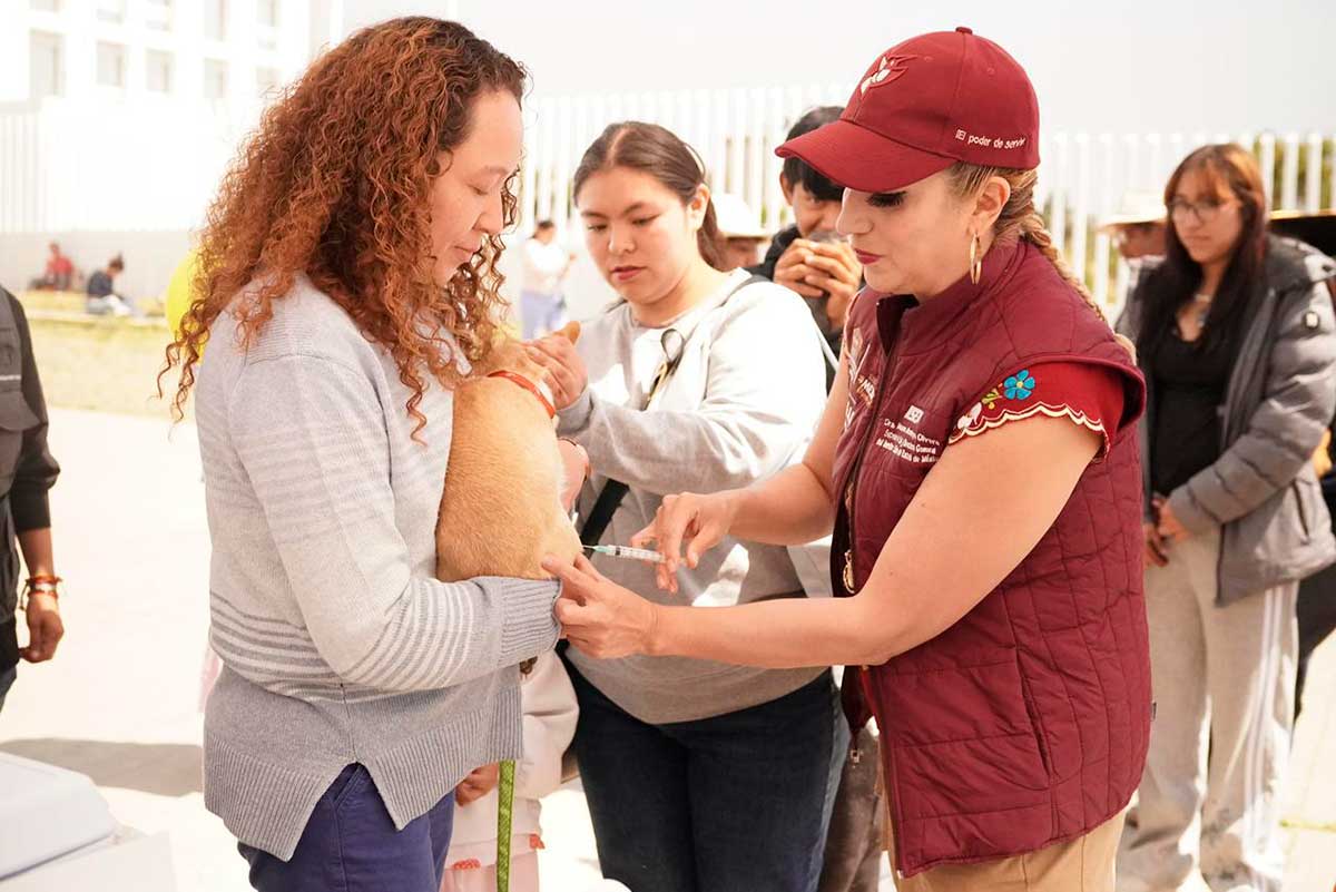 Aplica Gobierno del Estado de México más de 707 mil vacunas antirrábicas a perros y gatos