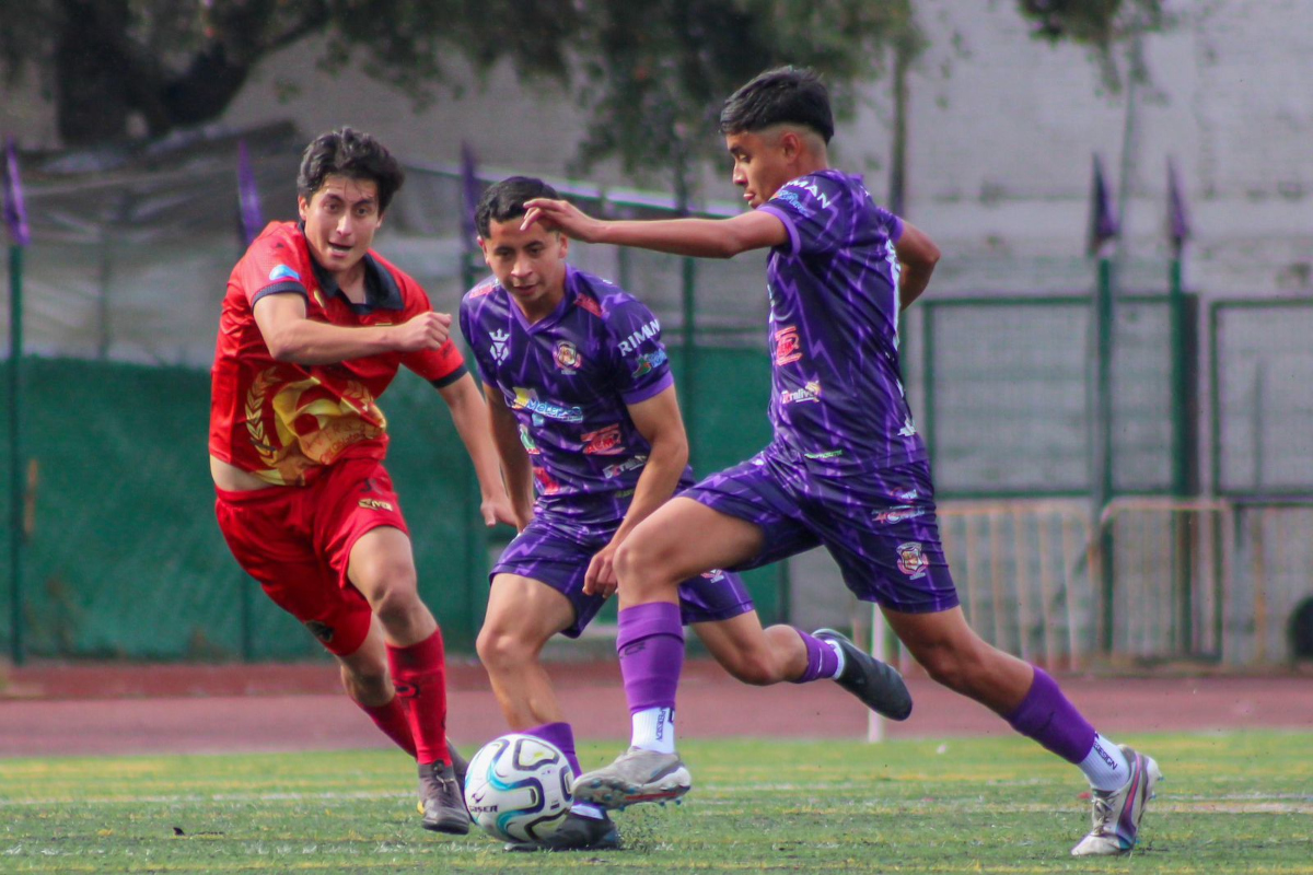 Artesanos de Metepec avanza a la liguilla como líder de la Serie B en la Liga Premier