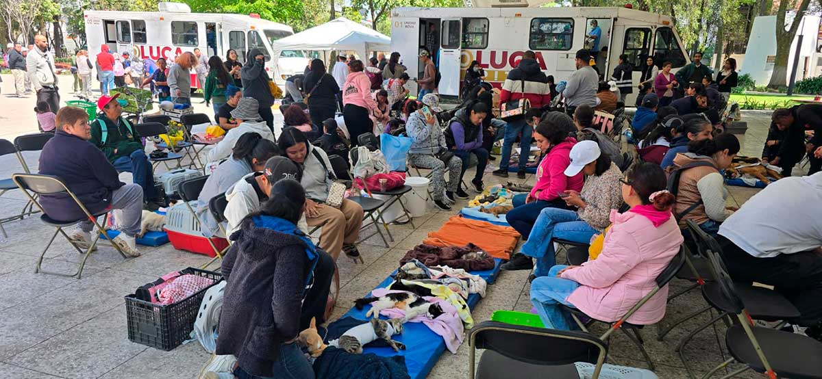 Exitosa jornada de esterilización y vacunación en la Alameda de Toluca