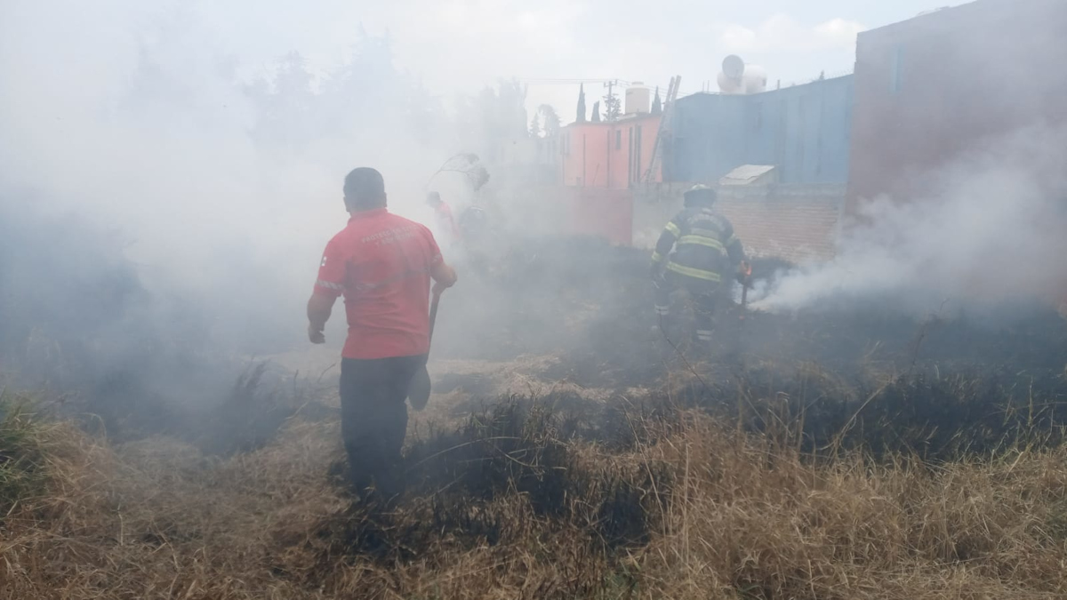 Multas de hasta 117 mil pesos por quemar pastizales en Toluca