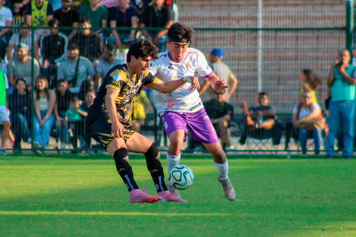 Artesanos de Metepec.