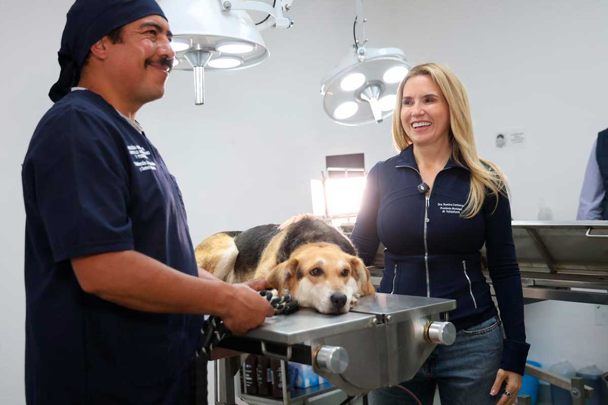 Huixquican ha salvado la vida de más de 4 mil 900 mascotas