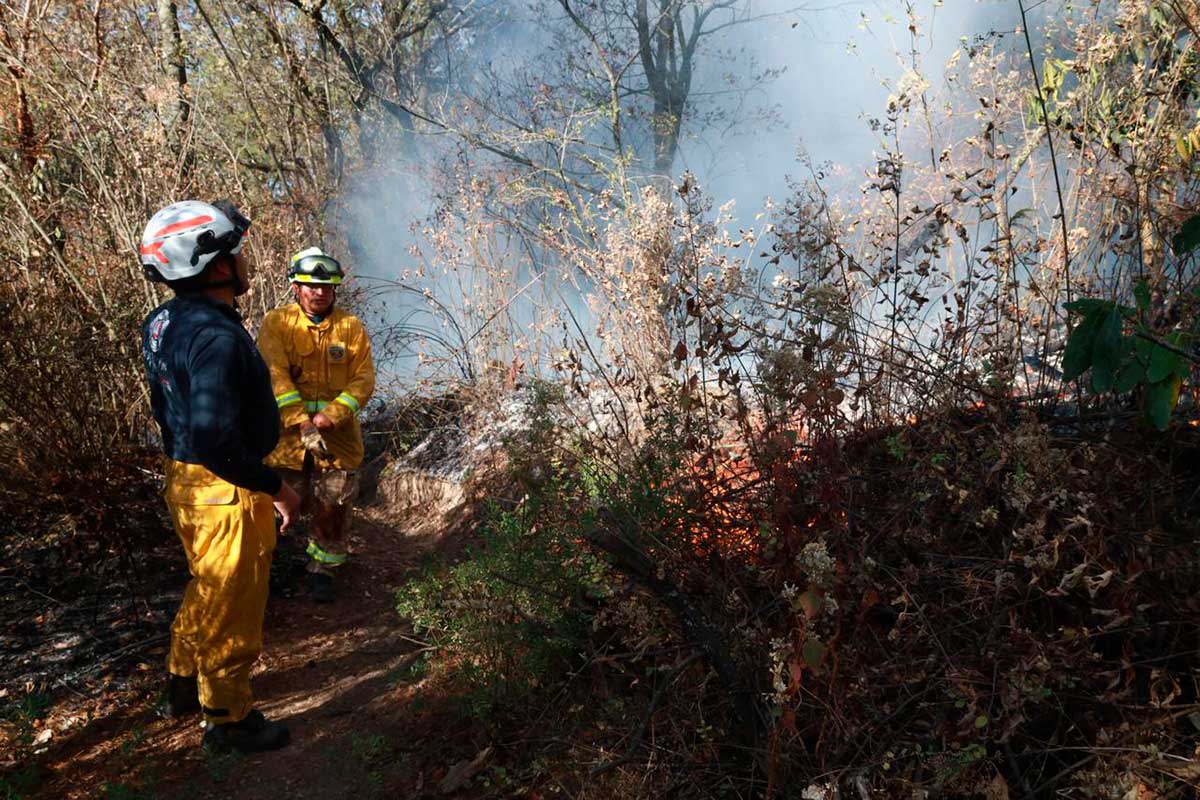 Personal del gobierno de Huixquilucan haciendo brechas para prevenir incendios.