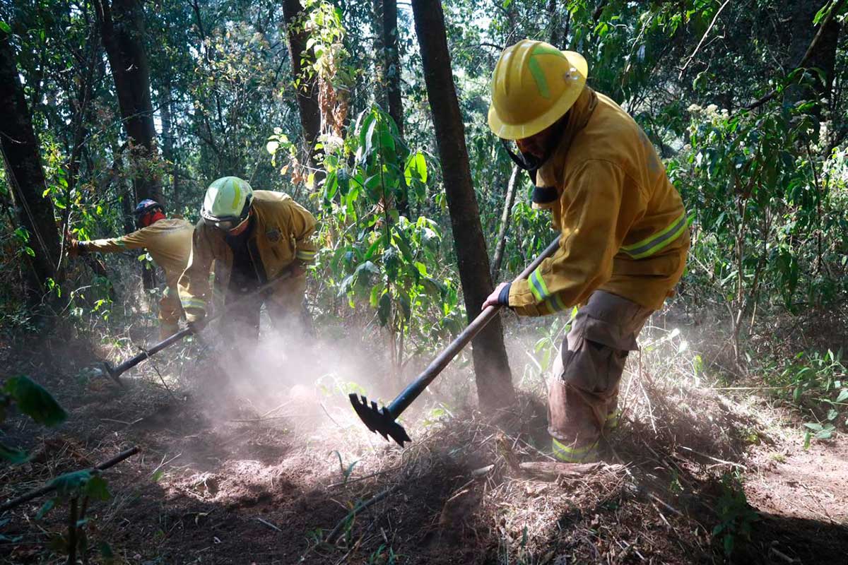 Huixquilucan refuerza prevención de incendios con más de 27 mil metros cuadrados de brechas cortafuego