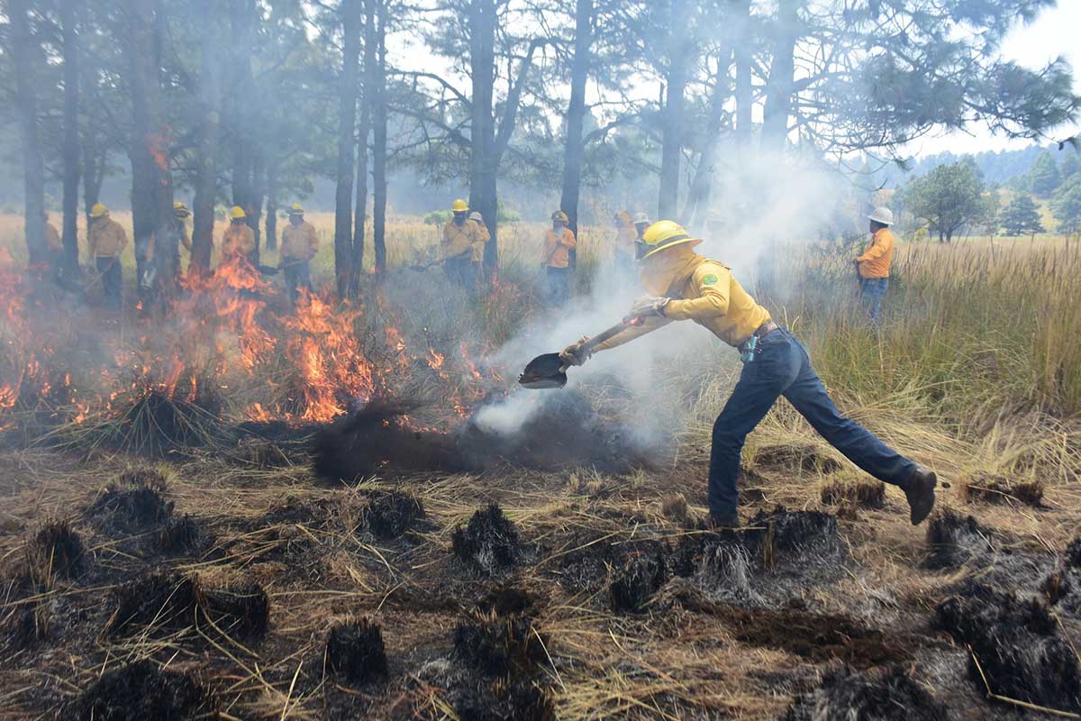 Atención inmediata de incendios forestales del Edoméx.