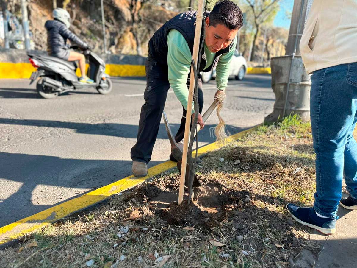 Mantenimiento al arbolado urbano en Paseo Matlazincas de Toluca.