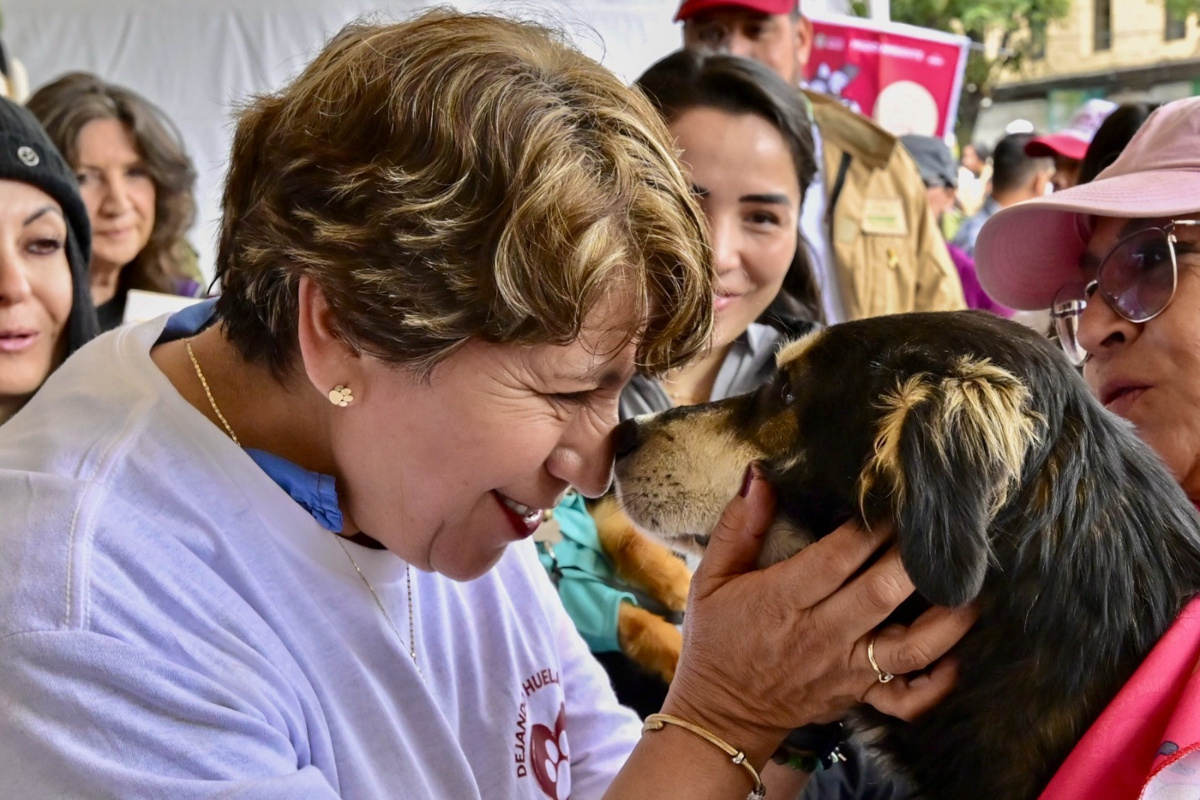 EdoMéx crea fondo para proteger animales y combatir la sobrepoblación de perros y gatos