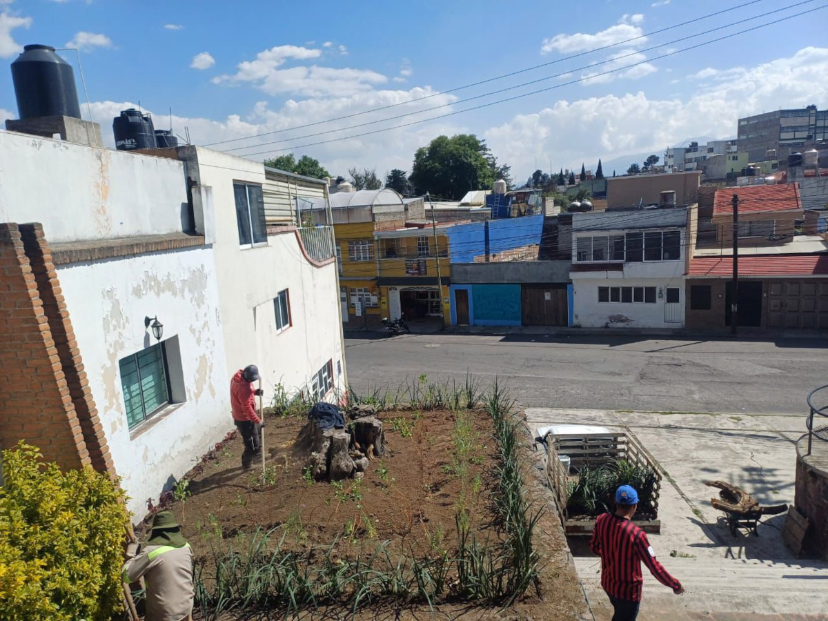 Toluca impulsa biodiversidad urbana con jardines polinizadores