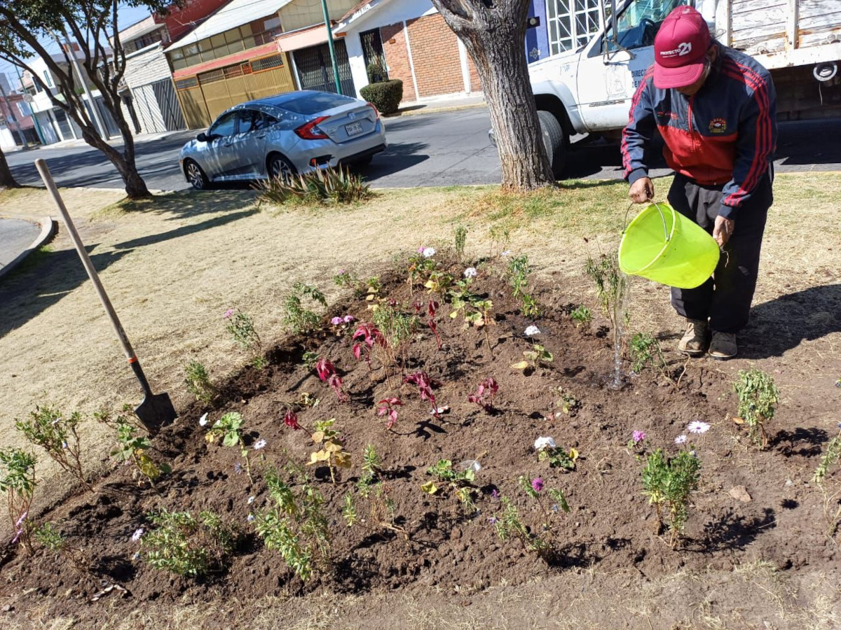 Jardín polnizador en Toluca.