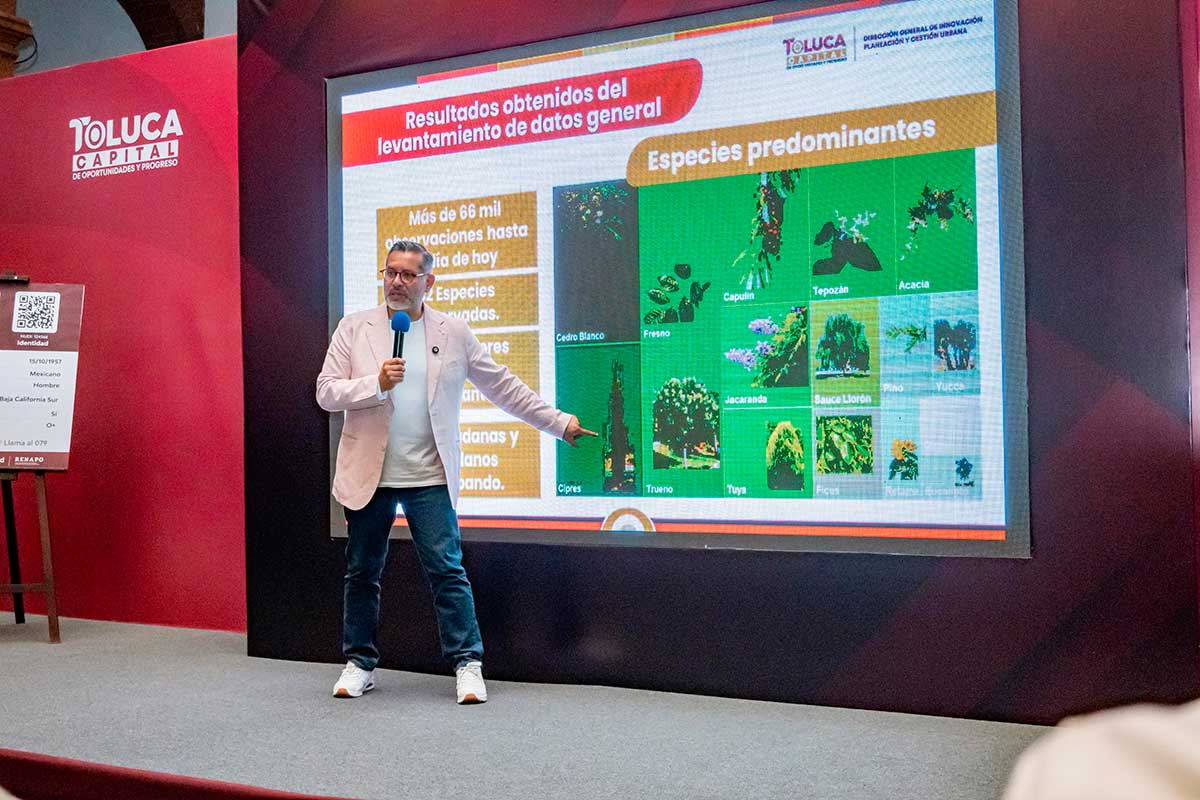 Toluca impulsa restauración del arbolado urbano; plantará más de 30 mil árboles nativos