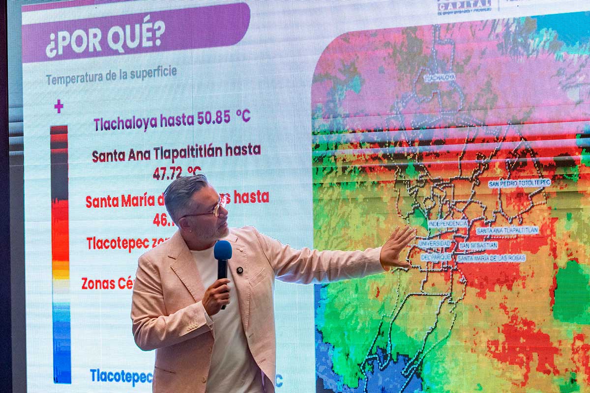 Toluca impulsa el arbolado urbano.