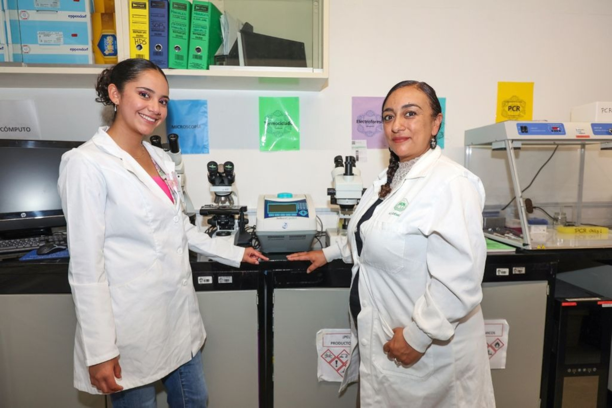 Estudiante de la UAEMéx triunfa a nivel nacional con investigación sobre regeneración de médula espinal