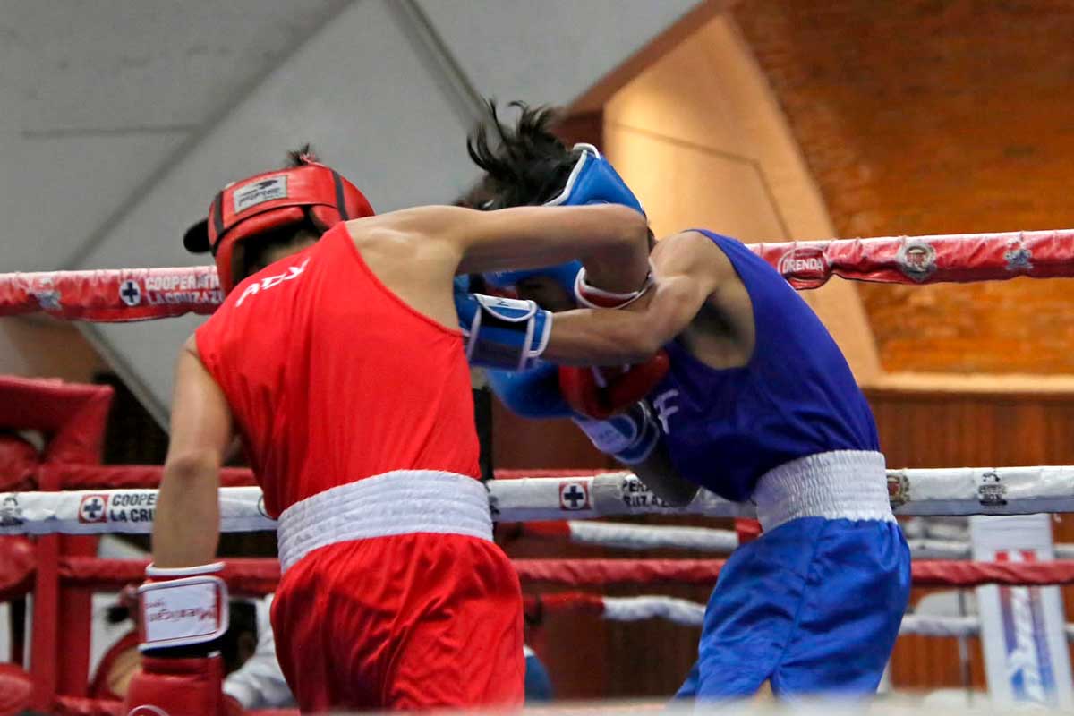 Boxeadores en el Torneo Guantes de Oro 2026.
