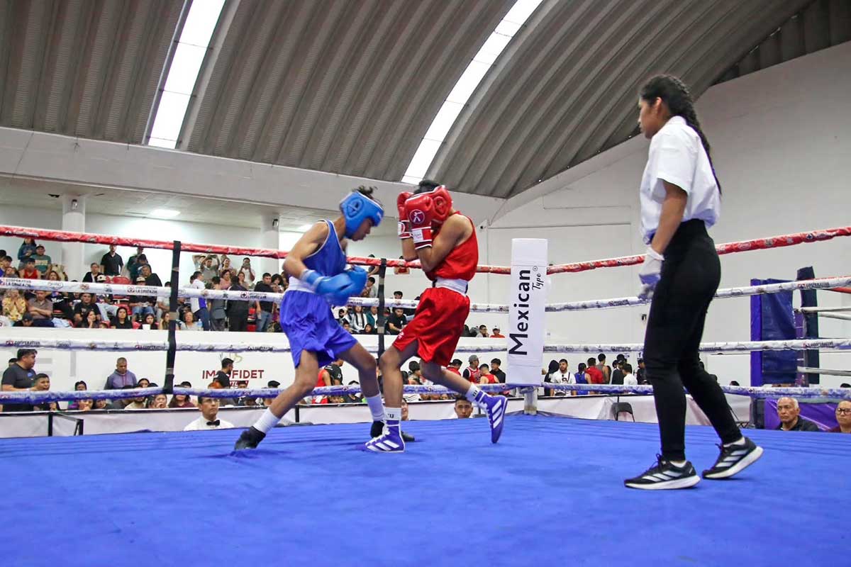 Boxeadores en el Torneo Guantes de Oro 2026.