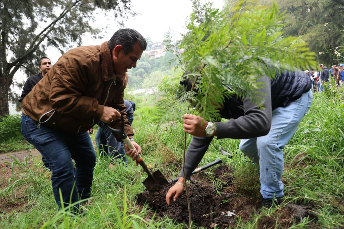 Huixquilucan plantará árboles.