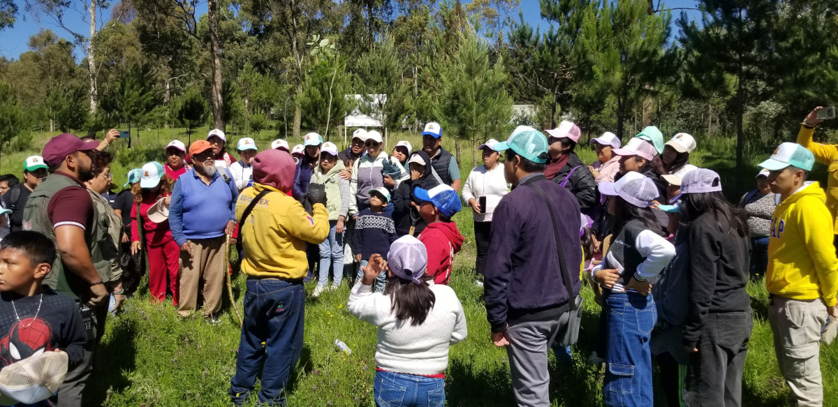 Toluca rplamta árboles en espacios públicos.