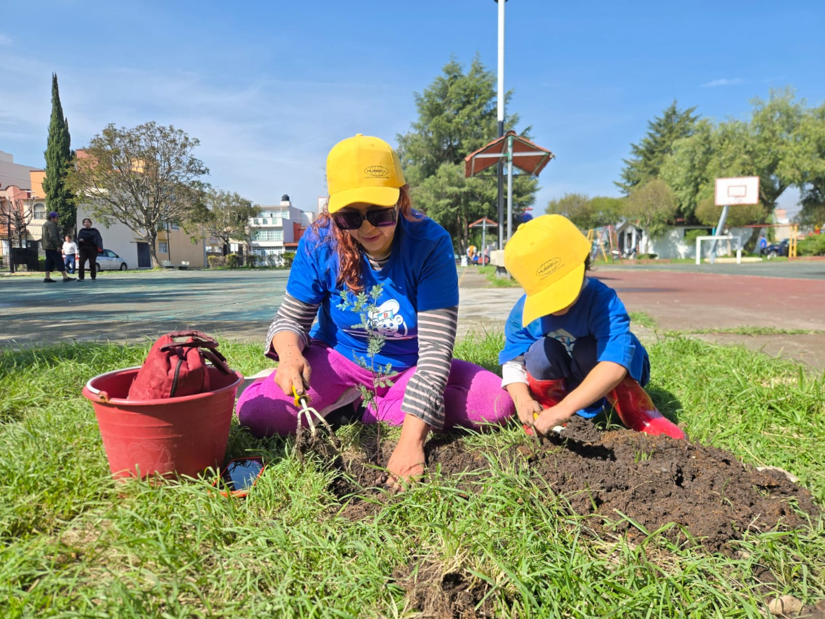 Toluca acelera su reforestación con la plantación de más de mil 600 árboles en espacios públicos
