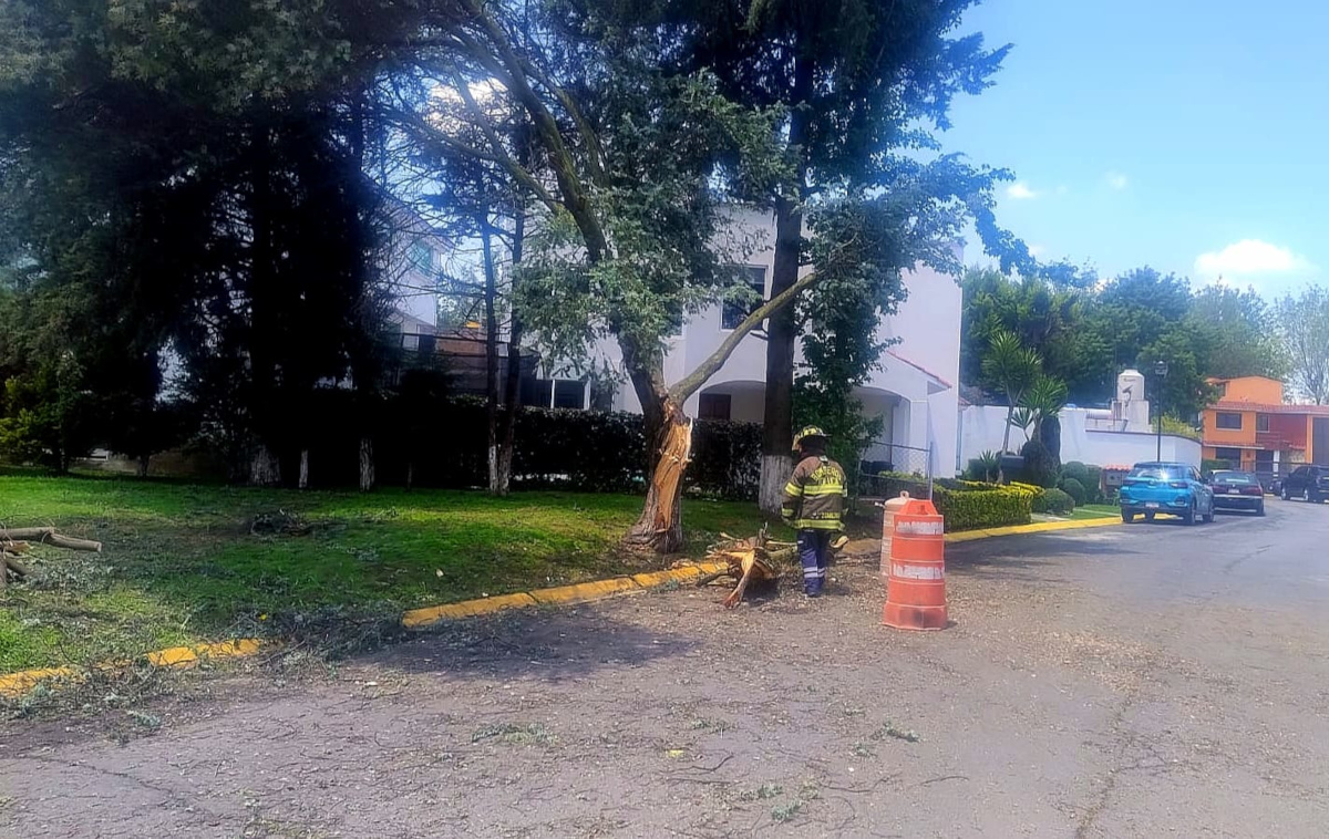 El gobierno de Toluca atiende emergencias por lluvias.