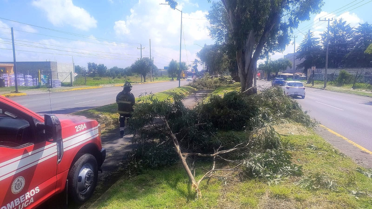 El gobierno de Toluca atiende emergencias por lluvias.