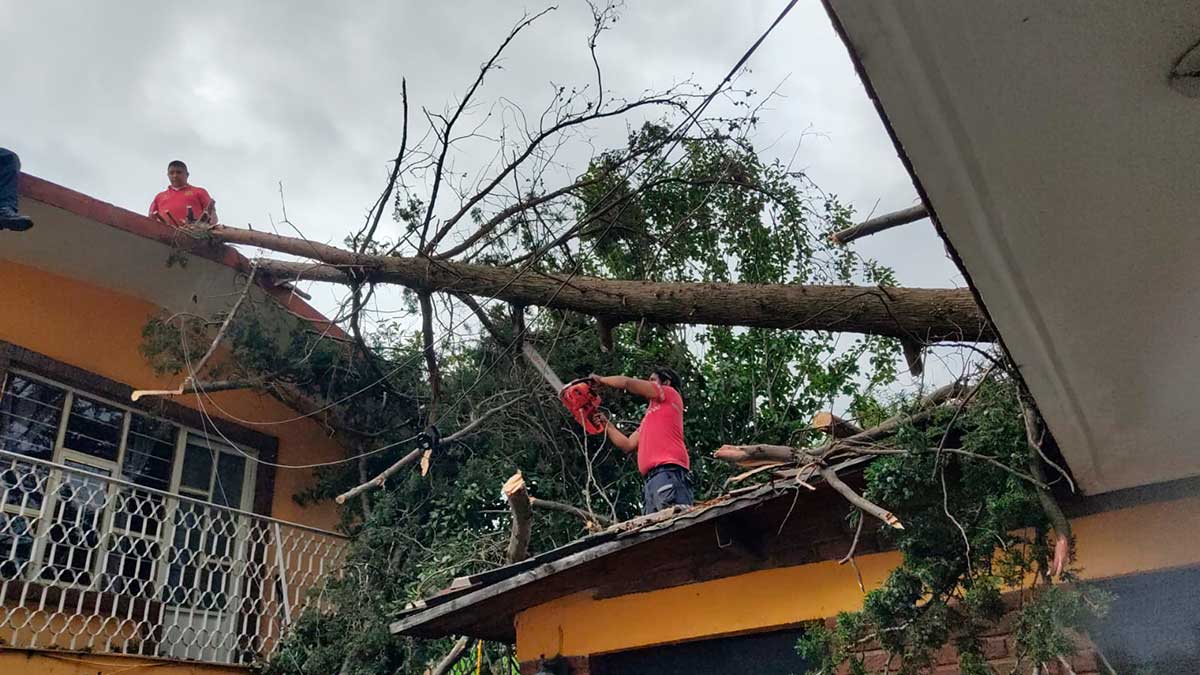Protección Civil atiende incendio y caída de árboles tras lluvias en Toluca