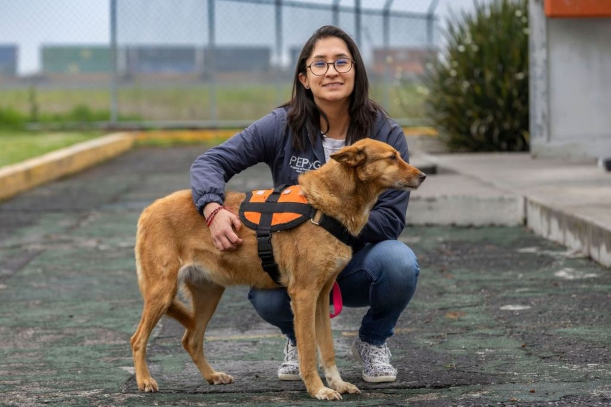 ¿Qué son las zoonosis y cómo prevenirlas? UAEMéx llama a fortalecer la cultura del cuidado animal