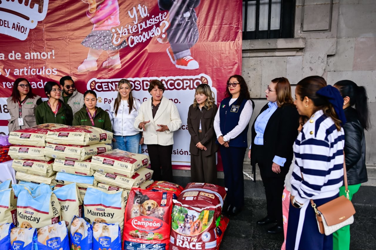 ¿Quieres apoyar a perros y gatos rescatados? Todavía puedes participar en Croquetmanía