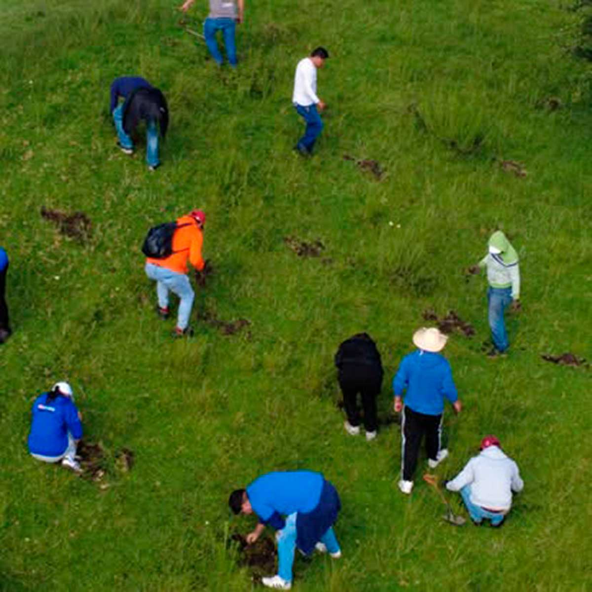 Toluca invita a la población a Jornada de Reforestación.