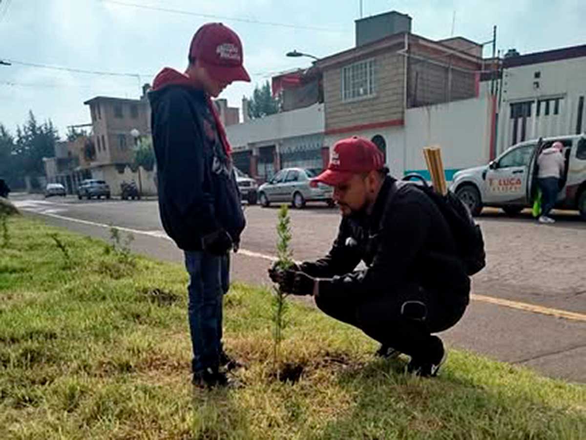 Reforestación en Toluca: convocan a plantar 12 mil árboles este 1 de agosto