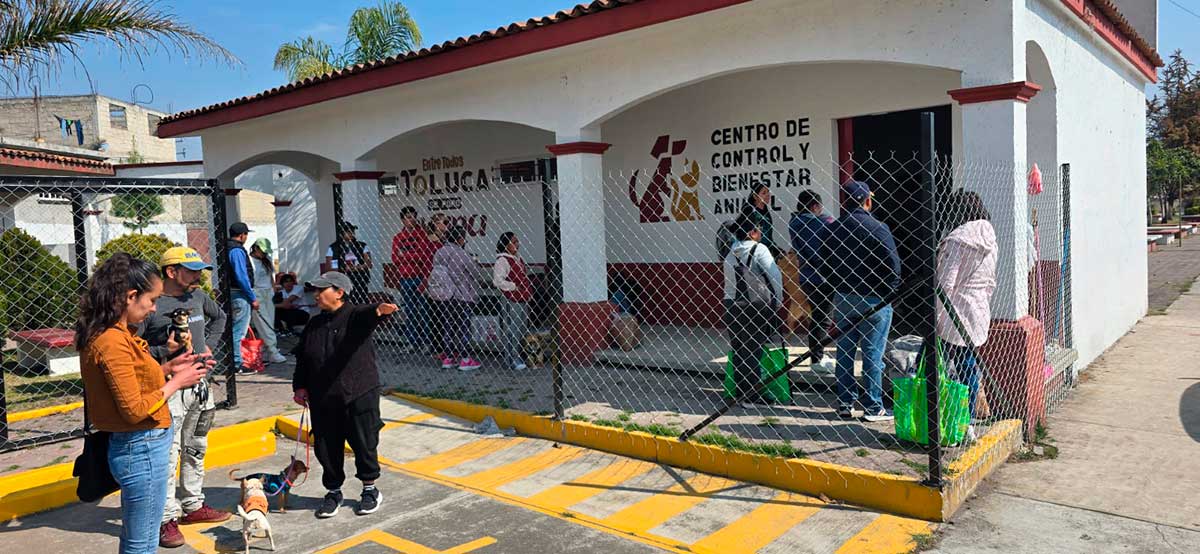 Toluca fortalece el bienestar animal: Extensión Norte suma más de mil esterilizaciones en seis meses