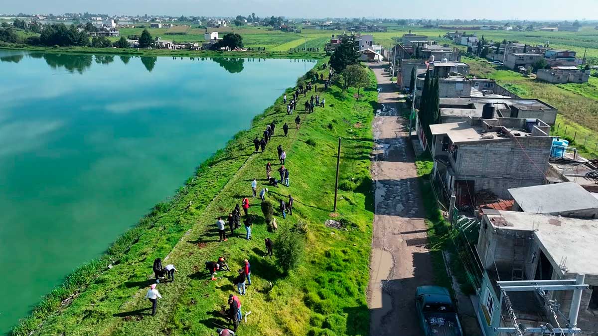 Toluca inicia el rescate ambiental del Bordo San Jerónimo con la plantación de 2 mil 200 magueyes
