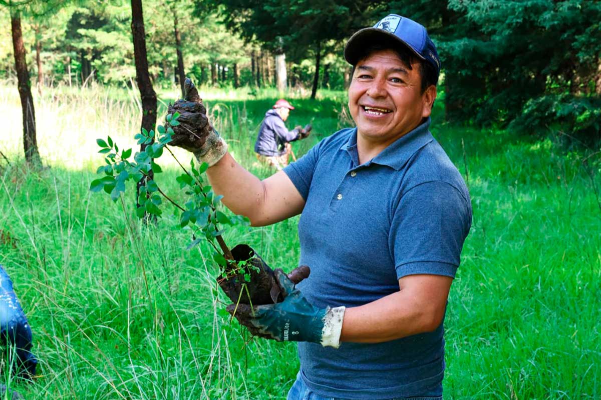 Toluca suma 15 mil árboles y plantas en una jornada masiva de reforestación
