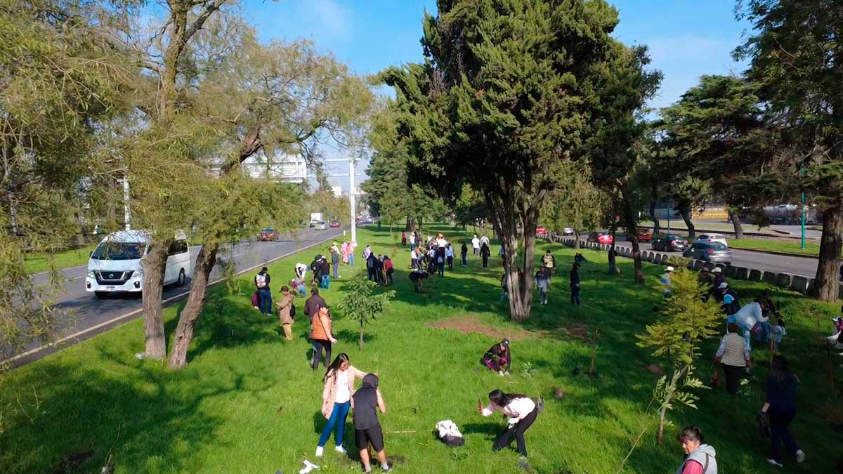 Toluca planta más de 15 mil árboles y plantas.