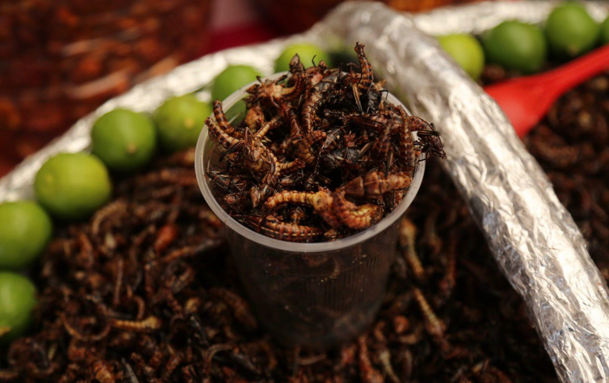 Platillos de cocineras tradicionales del Edoméx.