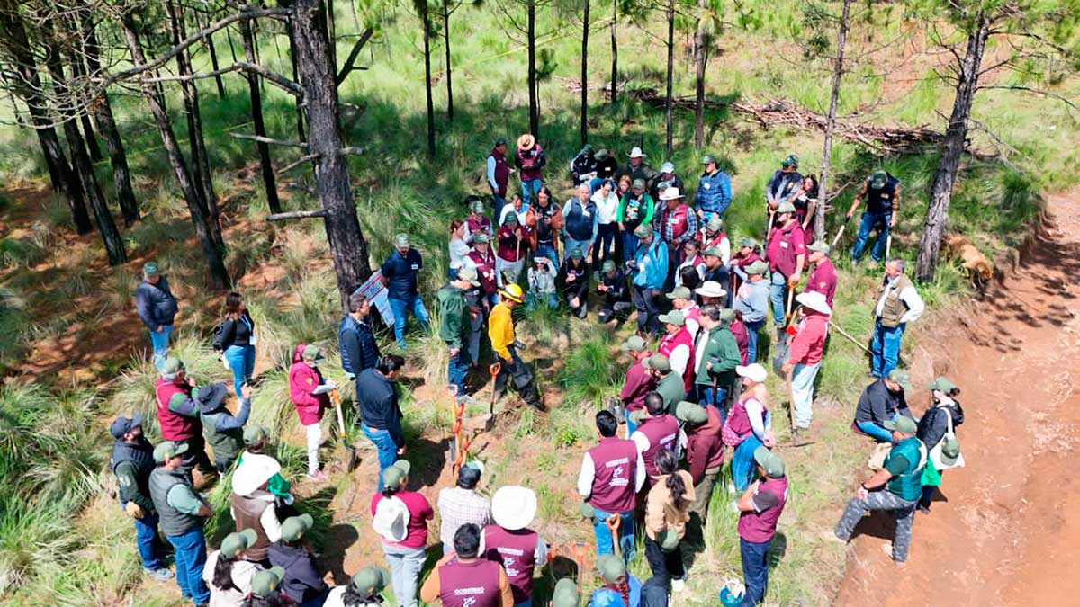 Invitan a las familias del Edomex a reforestar y contribuir al cuidado del medio ambiente