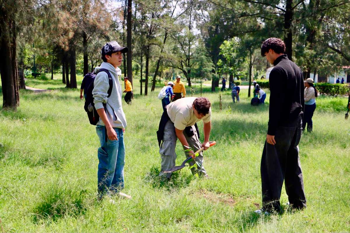 Edomex invita a participar en la Jornada Nacional de Reforestación.
