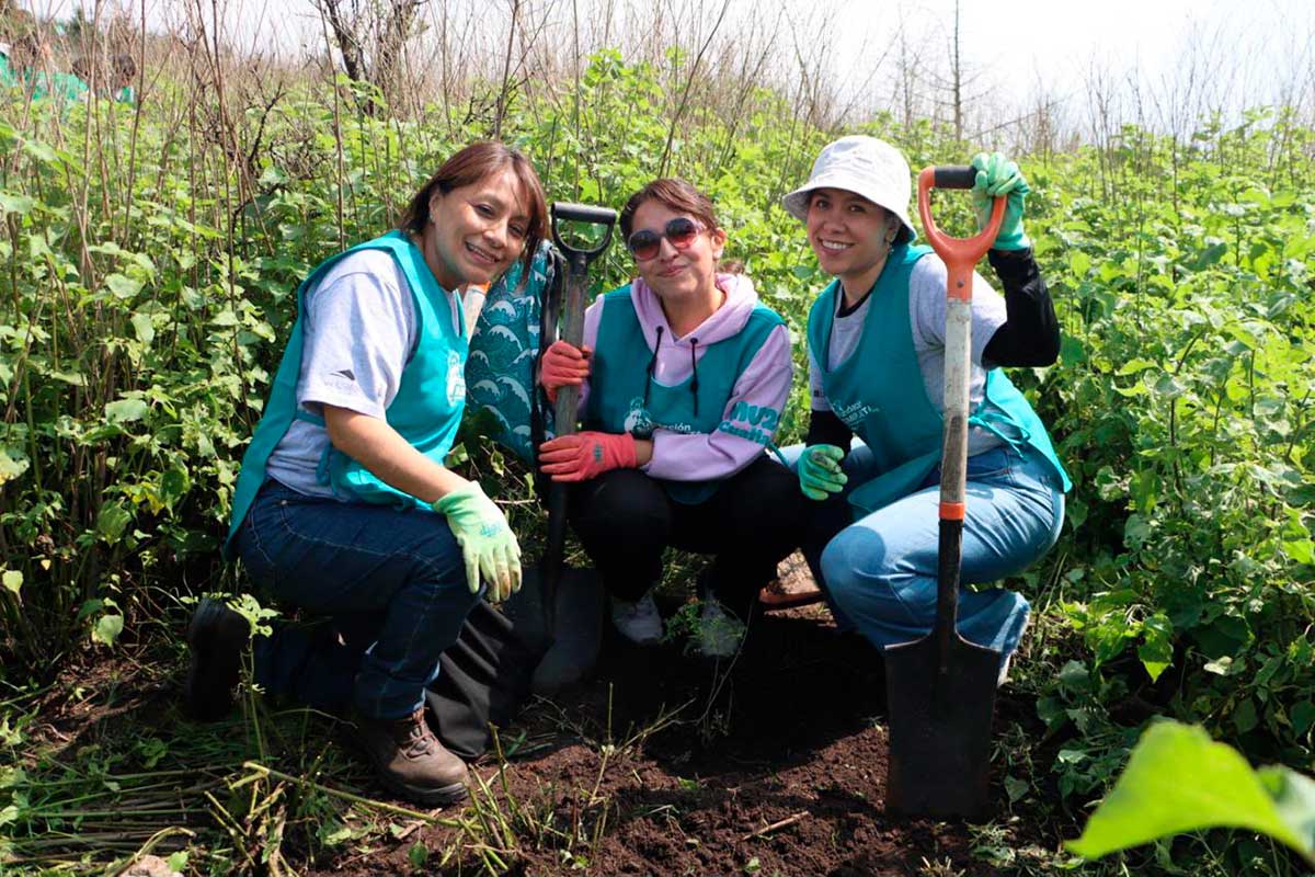 Edomex invita a participar en la Jornada Nacional de Reforestación.