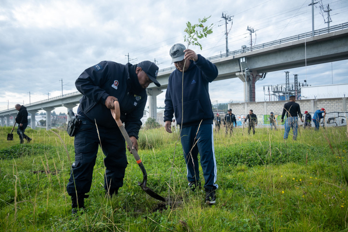 Estrategia de Reforestación de la capital mexiquense.