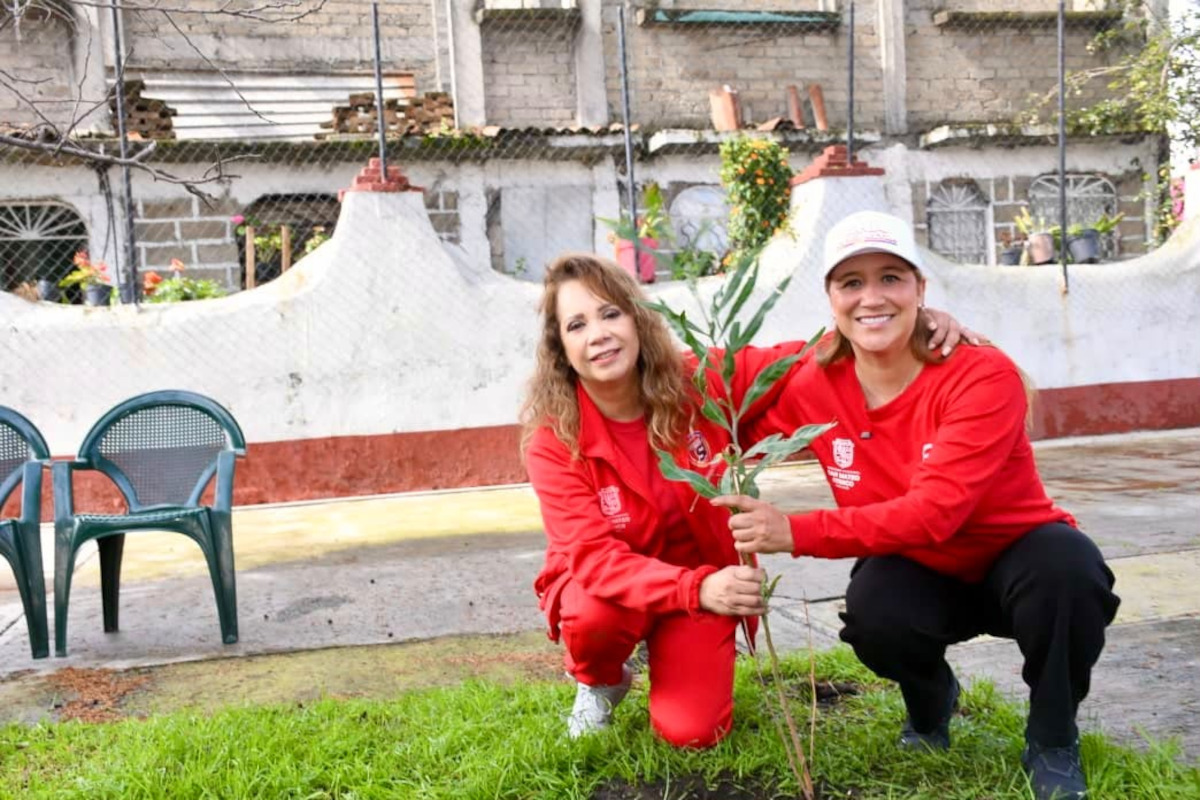 Reforestación en San Mateo Atenco: plantan 2 mil 580 árboles durante jornada nacional