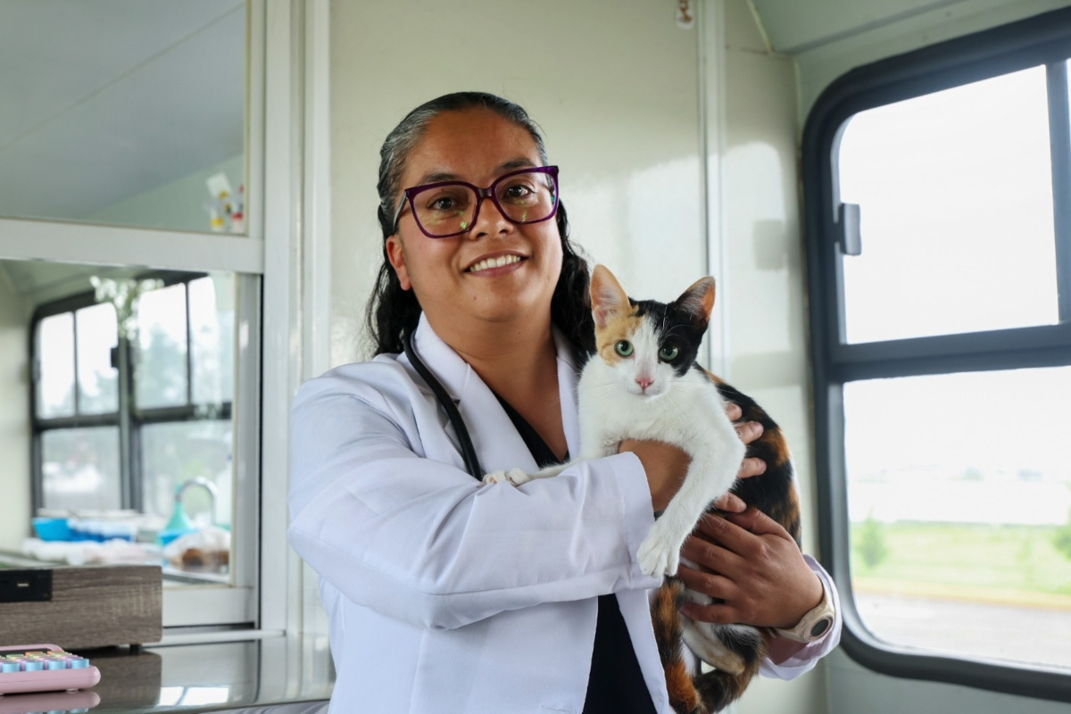 ¿Tienes un gato? Estos cuidados pueden ayudar a mejorar su salud y bienestar