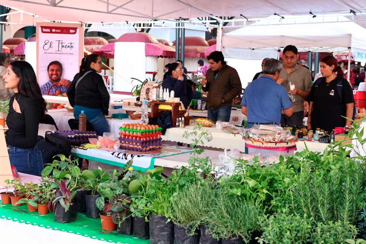 El gobierno de toluca abre oportunidades a productores locales.