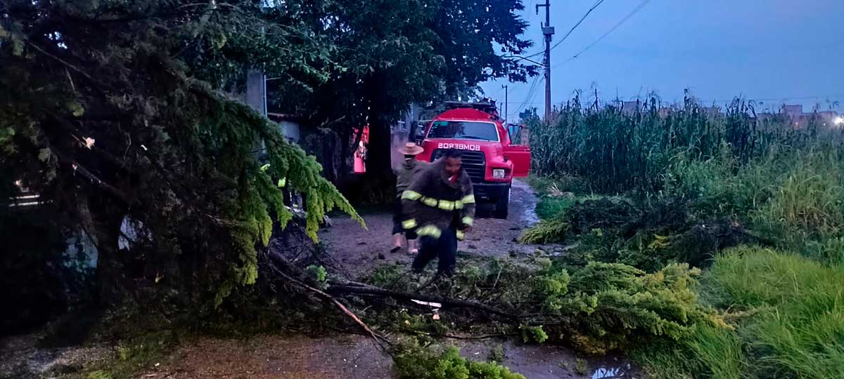 Gobierno de toluca mantiene operativos y brigadas de auxilio por intensas lluvias.
