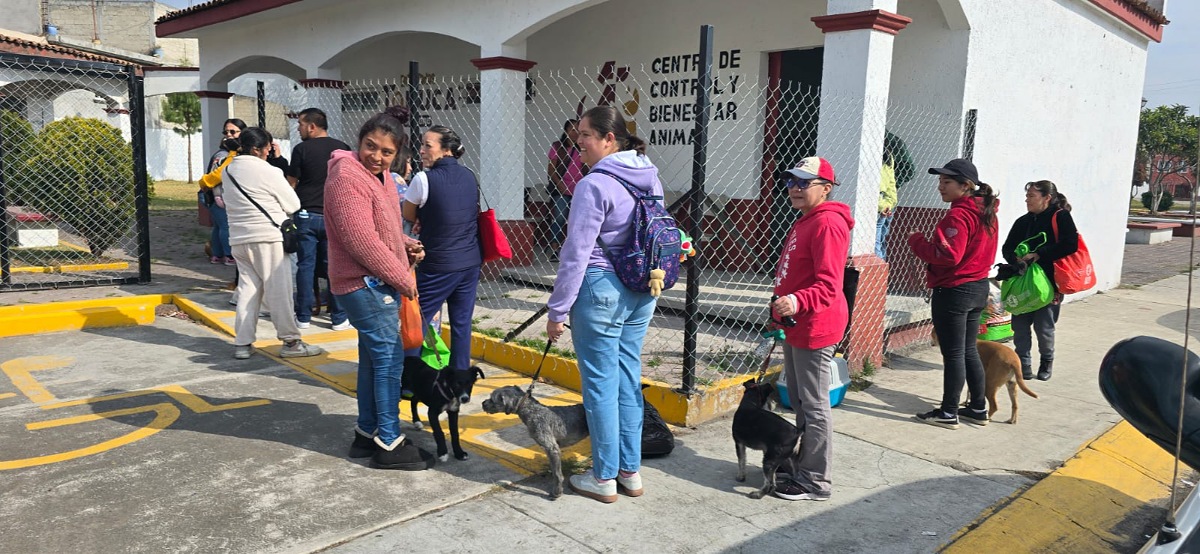 Esterilizaciones en el centro de bienestar animal de Toluca.