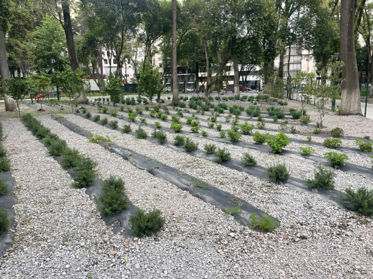 Parque Cuauhtemoc-alameda de Toluca.