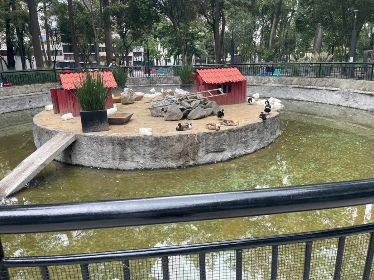 Parque Cuauhtemoc-alameda de Toluca.