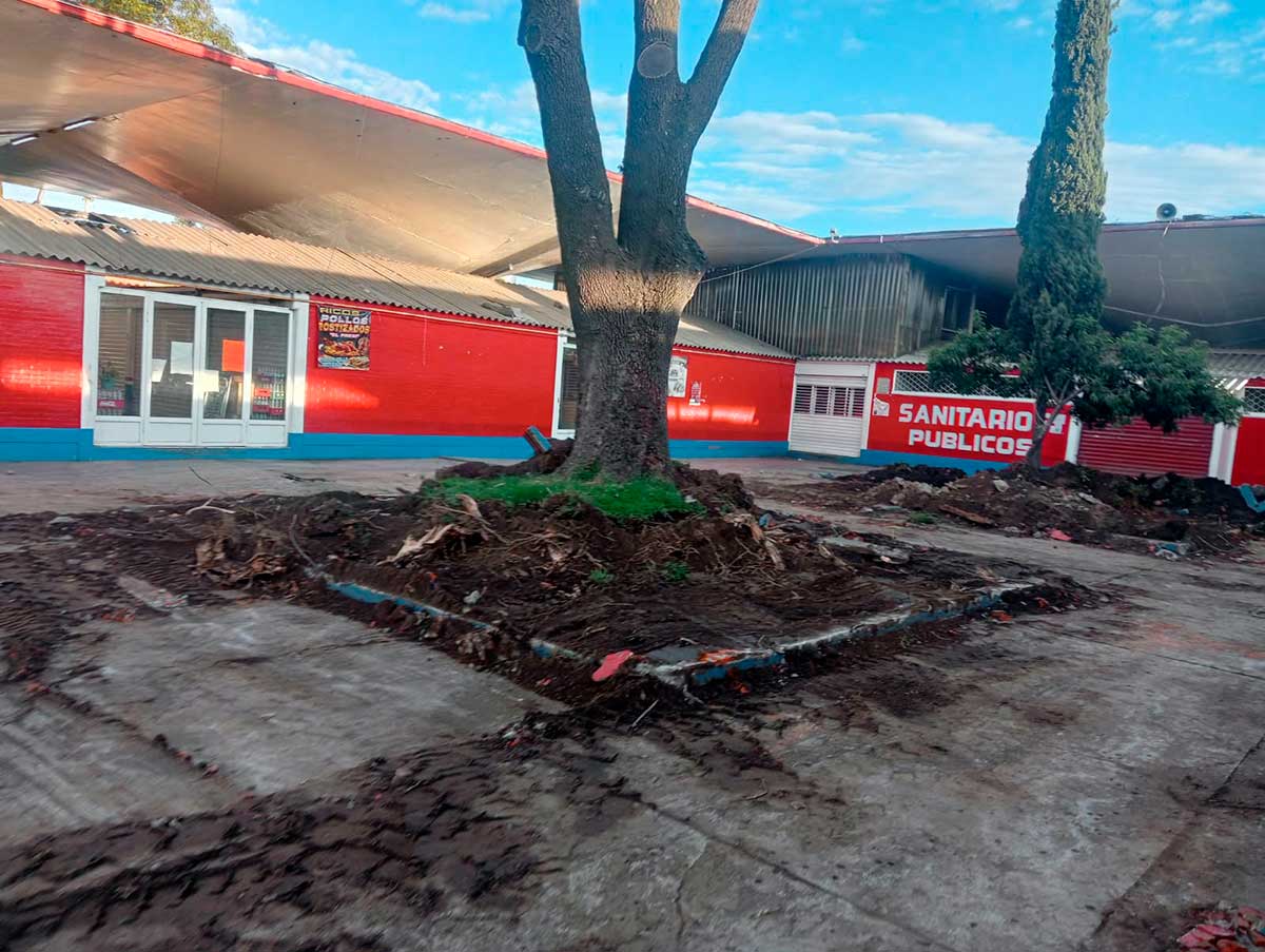 Trabajos de limpieza en el Mercado Juárez de Toluca.