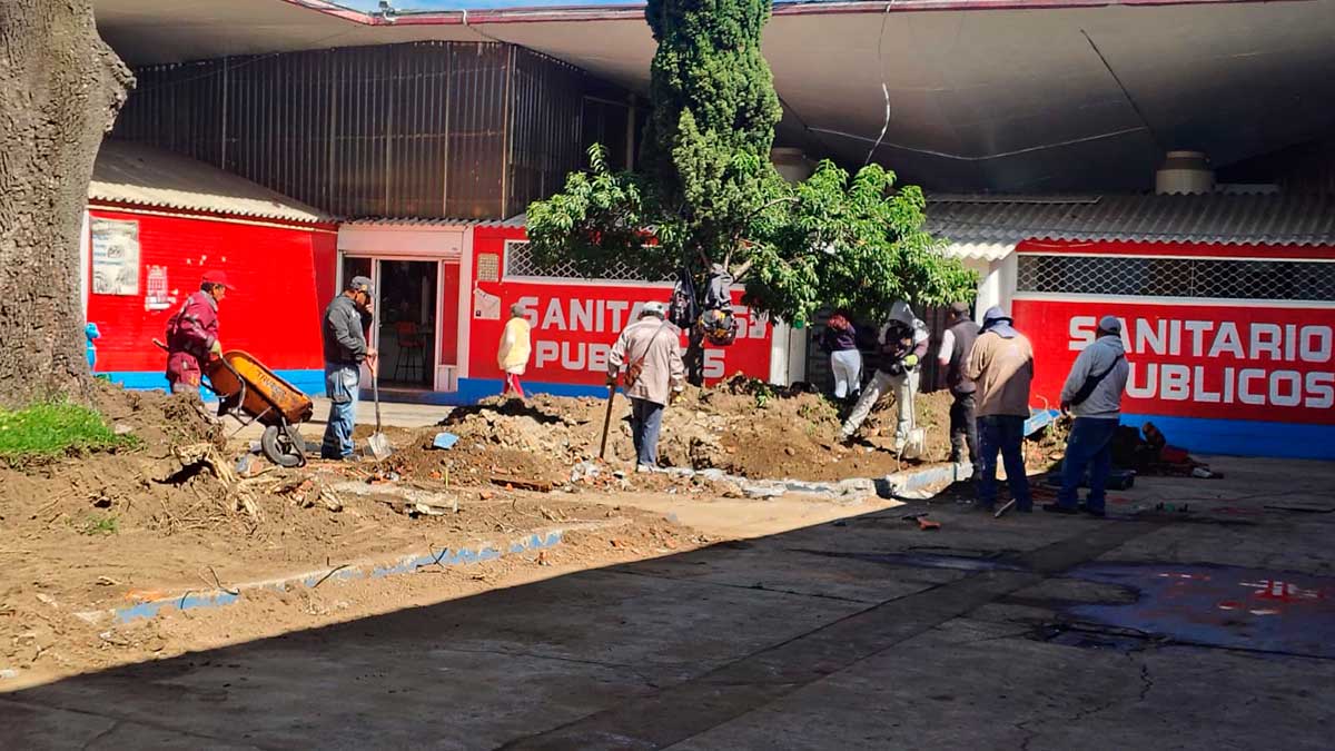 Toluca refuerza saneamiento del Mercado Juárez con limpieza de drenaje y cuidado de árboles